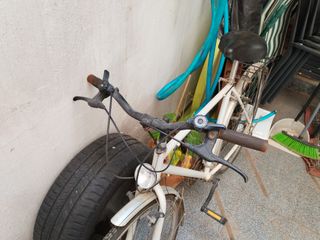 Bicicleta paseo