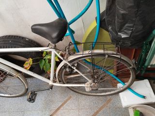Bicicleta paseo