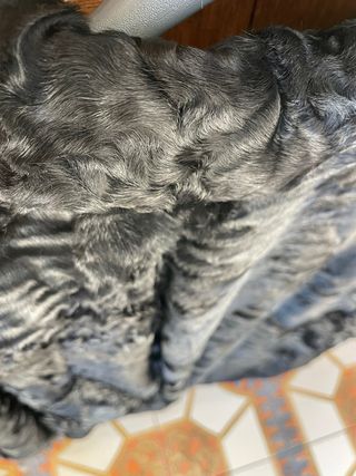 Pelliccia breitschwanz S/M