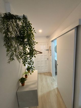 Estudio a estrenar en centro pineda 1 linea playa