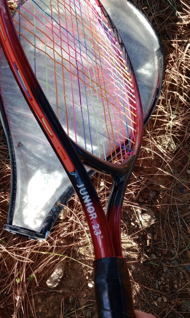 6 RAQUETAS de TENIS 🎾