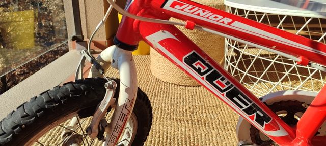 Bicicleta infantil Qüer.