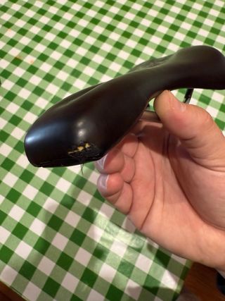 Sillin specialized phenon