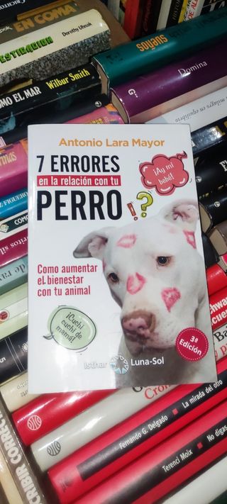 7 errores en la relación con tu perro