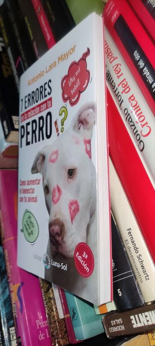 7 errores en la relación con tu perro
