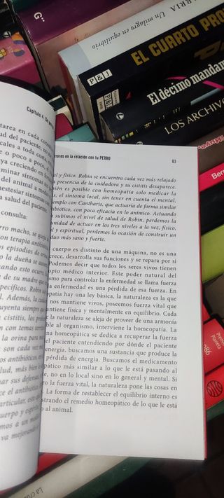 7 errores en la relación con tu perro