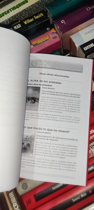 7 errores en la relación con tu perro