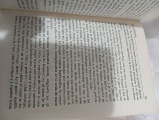 Gramática historica española(Spanish Ed