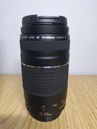 ♦️♦️♦️OBJETIVO CANON EF 75-300 (III)