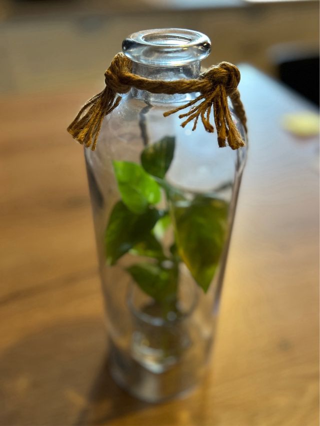 Botella de cristal sin la parte de abajo