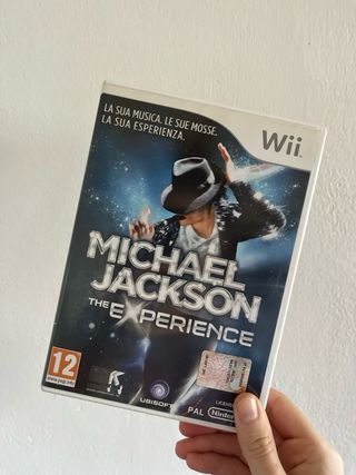 Michael Jackson The Experience