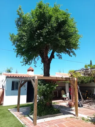 Cabañas, casas del árbol, casetas de madera...