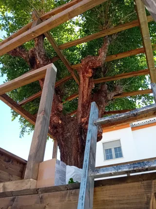 Cabañas, casas del árbol, casetas de madera...