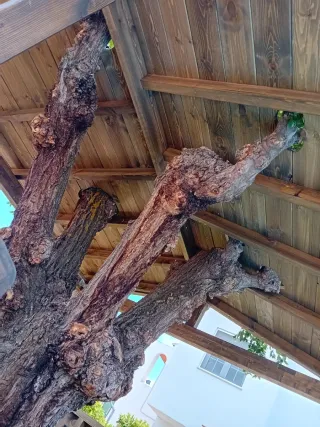 Cabañas, casas del árbol, casetas de madera...