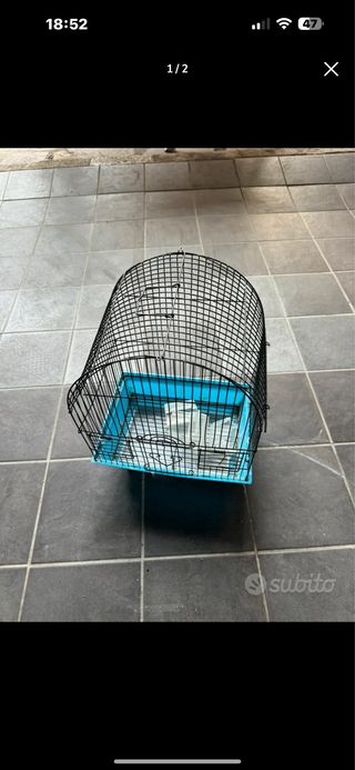 Gabbia pappagalli
