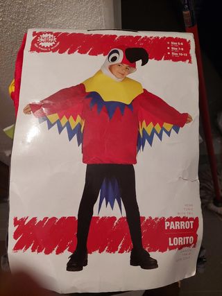 Disfraz  para niña y niño