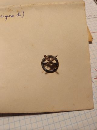 Insignia de hidalgo 
