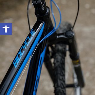 Bicicleta Biocycle elixir 26”