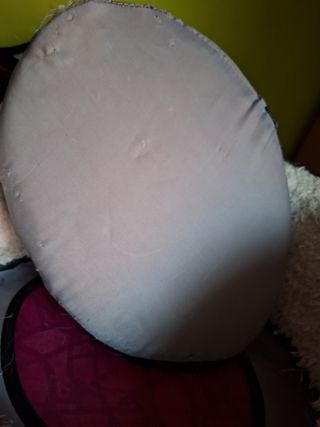 Transportin animales