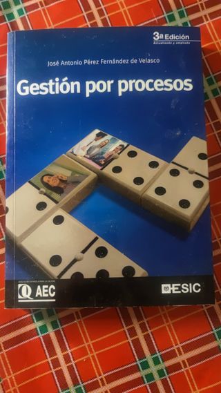 Gestión por procesos (Libros profesionales) (Spani