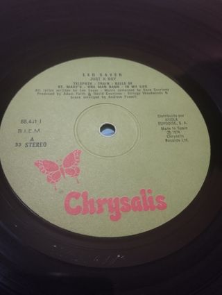 VINILO LEO SAYER