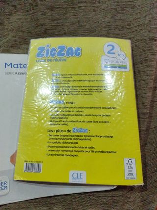 Zigzag: Livre de l'Eleve A1.2-Livre + CD Audio (French Edition)