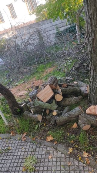 Jardinero precio sin compromiso