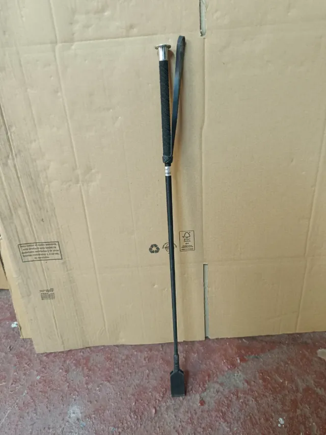 Cabezada caballo y fusta