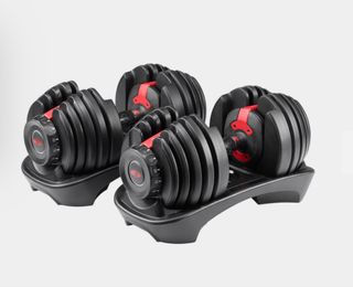 Mancuernas Bowflex Select Tech 552i