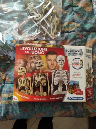 L'evoluzione dell'uomo. Scienza e gioco 