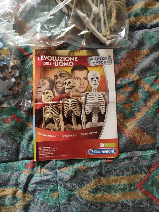 L'evoluzione dell'uomo. Scienza e gioco
