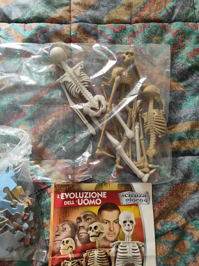 L'evoluzione dell'uomo. Scienza e gioco