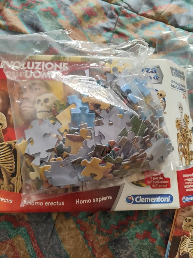 L'evoluzione dell'uomo. Scienza e gioco