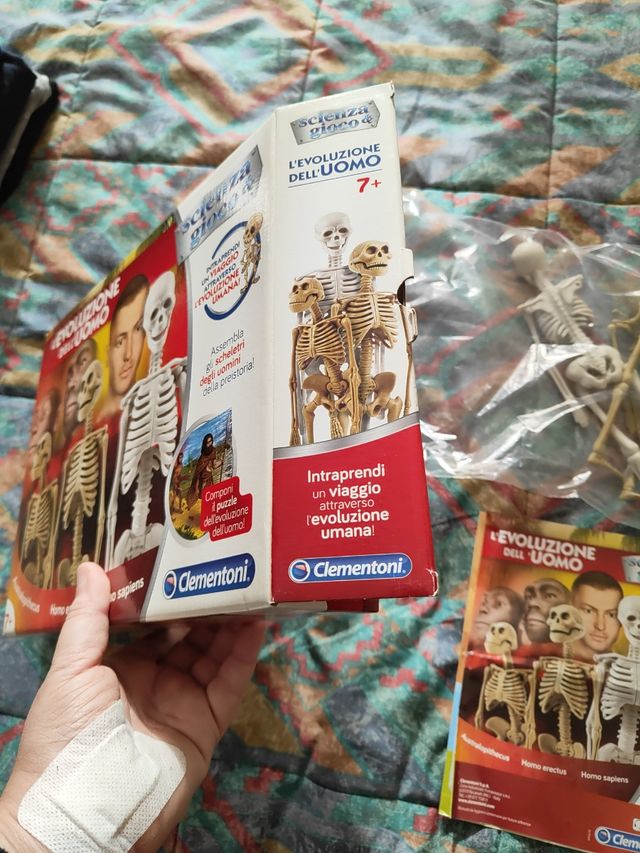 L'evoluzione dell'uomo. Scienza e gioco