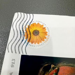 Johnny Depp Autografo autograph signed autentico