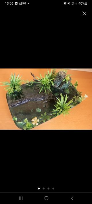 Diorama maqueta caimán