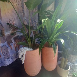 1x terracota 1 m altura