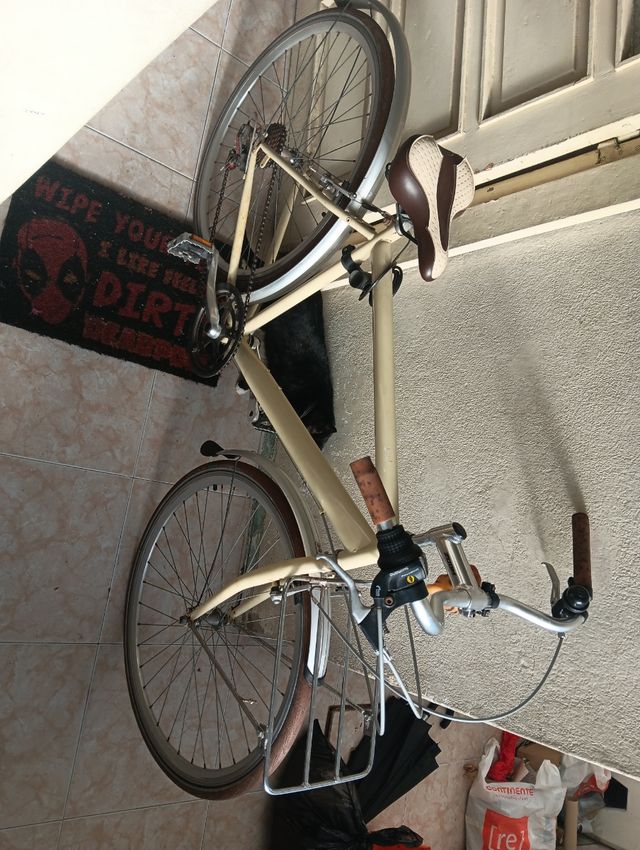 Bicicleta Vintage