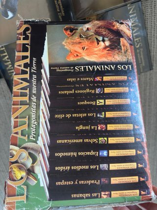 Enciclopedia animales  y cuentos  infantiles