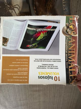 Enciclopedia animales  y cuentos  infantiles