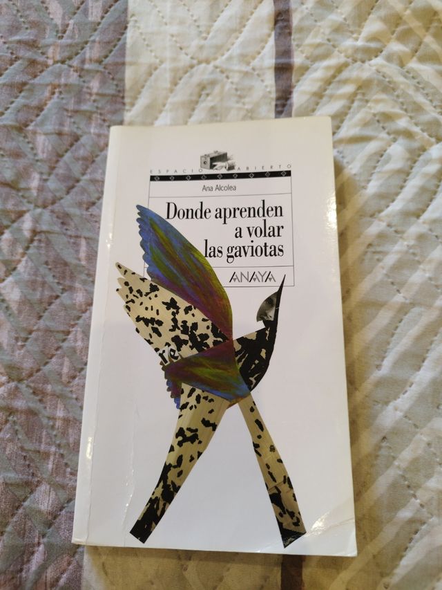 Donde aprenden a volar las gaviotas (Espacio Abierto) (Spanish Edition)