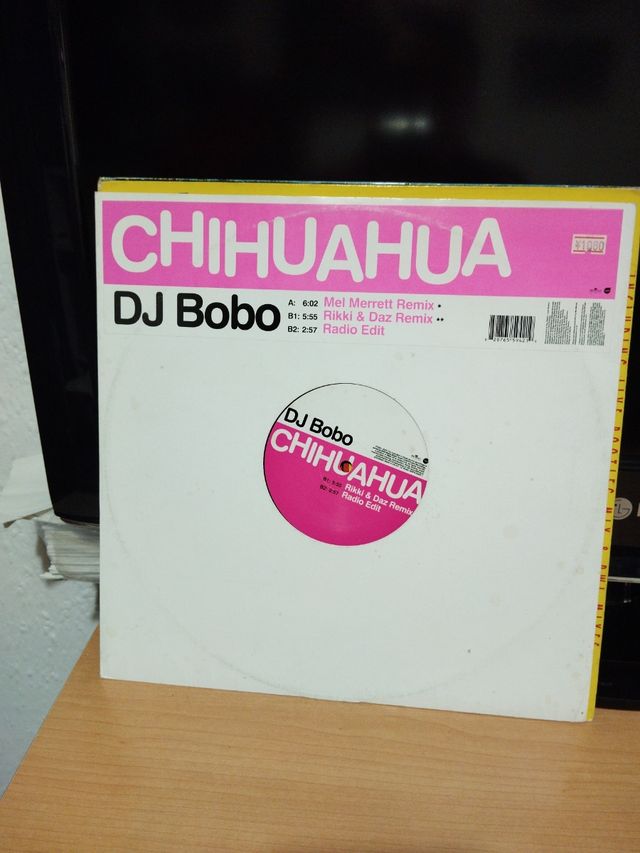 Dj bobo .Chihuahua .