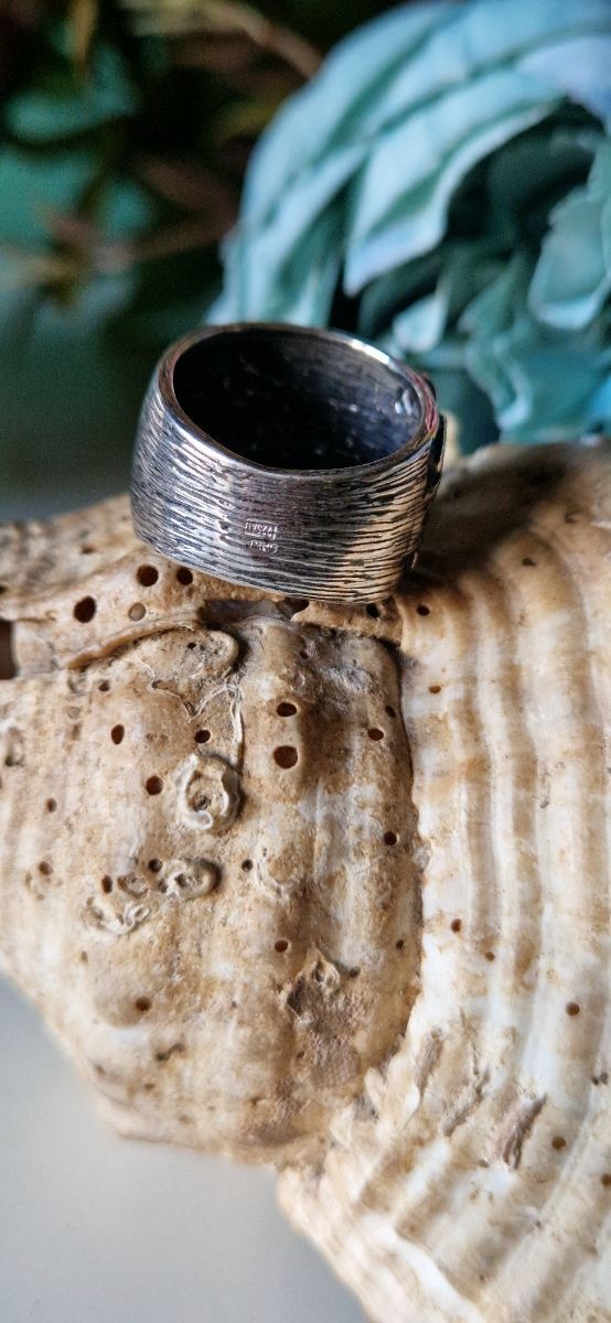Anillo páramo de plata de ley 