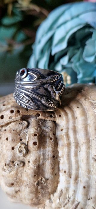 Anillo páramo de plata de ley 