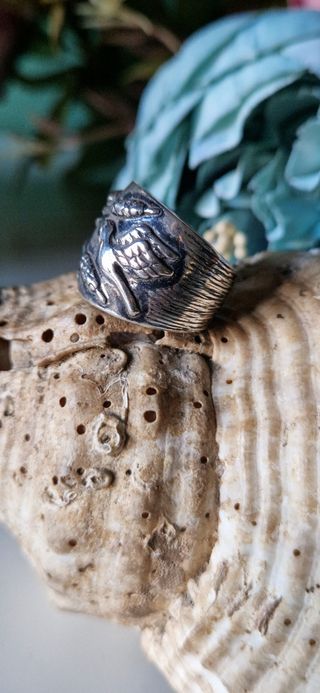 Anillo páramo de plata de ley 