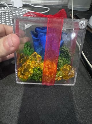 Rosa stabilizzata blu