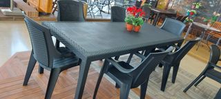 Mesa 220x90 y 6 sillones