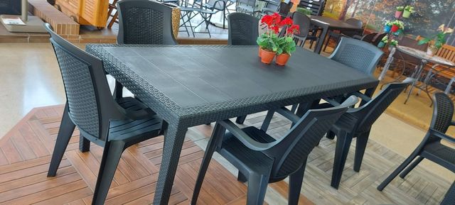 Mesa 220x90 y 6 sillones