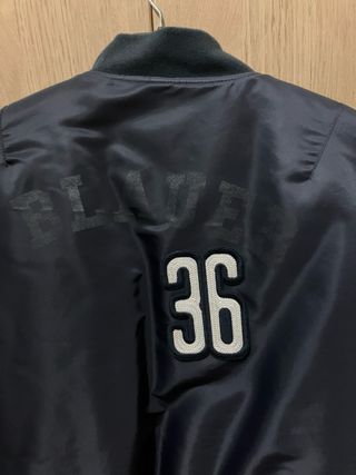 Bomber aviador Blauer