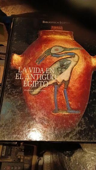 La vida en el antiguo Egipto